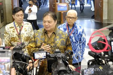 Menko Airlangga sebut 156 PSN telah selesai dibangun