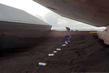 22.000 ton cangkang sawit Kalsel penuhi syarat ekspor ke Jepang