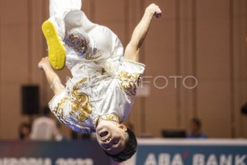 Edgar Xavier raih medali emas nomor Changquan putra