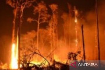 Kebakaran hutan buat ribuan warga dievakuasi di Tenerife, Spanyol