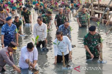 Panglima tegaskan penanaman mangrove bermanfaat untuk aspek pertahanan