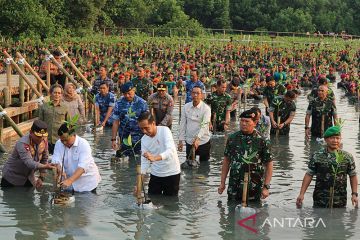 Jokowi: revisi UU TNI belum selesai tidak tepat dikomentari