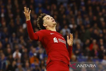 Liverpool hancurkan West Ham 5-1 di perempat final Piala Liga