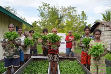 Kebun Gizi Apung bantu penuhi gizi anak Asmat Papua