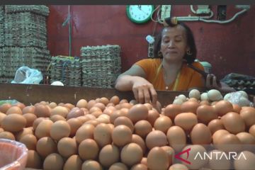 Harga telur ayam di Pasar Kramat Jati merangkak naik