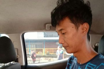 TKBM asal jayapura jadi tersangka penyelundup kanguru