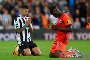 Newcastle United bekuk Brighton 4-1