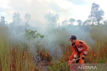 BPBD Kalsel kerahkan seluruh sumber daya atasi karhutla