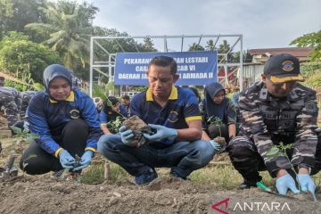 TNI AL Kendari menggalakkan tanam cabai di pekarangan tekan inflasi