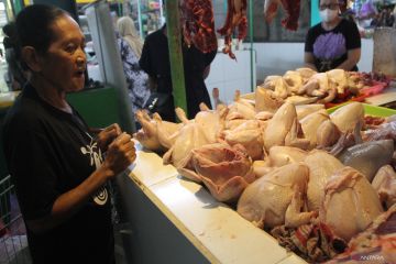 Penyimpanan daging ayam di kulkas, berapa lama bertahan?