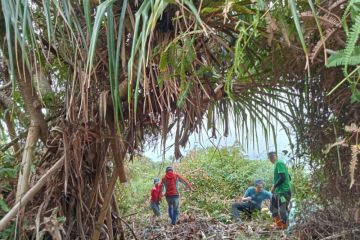 Pencinta alam perbaiki jalur pendakian Bukit Kaba Rejang Lebong