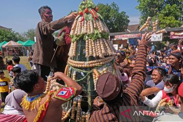 Tradisi Merti Desa Grebeg Tahu di Magelang