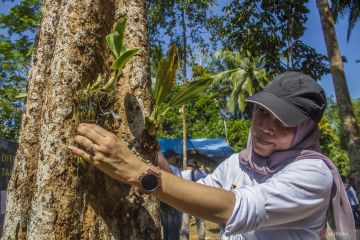 WGII dorong implementasi kerangka keanekaragaman hayati