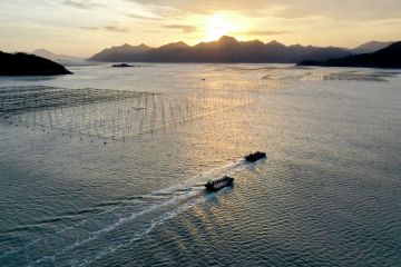 China akan tingkatkan keselamatan kerja di sektor perikanan laut