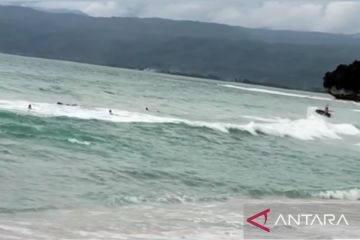 Kuota pendaftaran kejuaraan Surfing Krui Pro 2023 hampir penuh