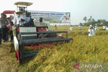 Wamentan dorong Karawang terus menjaga produktivitas pertanian
