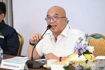 Anggota DPR minta PLN buat skema besaran kapasitas penggunaan EBT