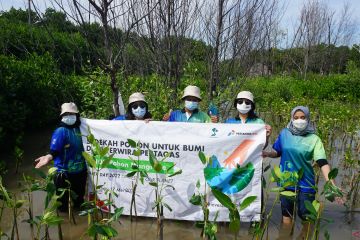 LindungiHutan dan perusahaan BUMN tanam 458 ribu pohon