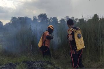 Kalimantan Selatan minta bantuan helikopter untuk atasi karhutla