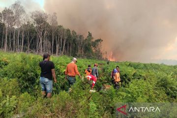 Balai PPIKHL wilayah Sumatera bantu pemadaman kebakaran lahan Pessel