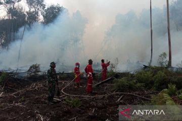 Kebakaran hutan gambut di Kabupaten Pesisir Selatan