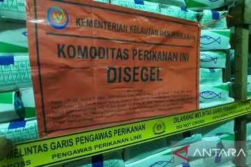 KKP segel ikan salem impor di 3 gudang ikan di Kalimantan Barat