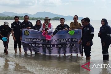 PT Timah - BPSPL Tanjungpinang optimalkan restocking kepiting bakau