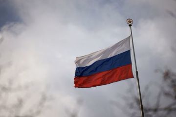 Rusia larang lembaga hak asasi manusia asal Norwegia