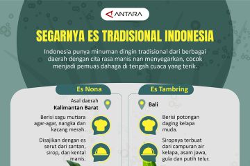 Segarnya es tradisional Indonesia