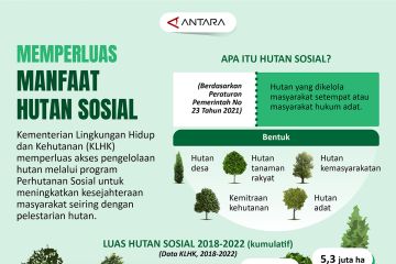 Memperluas manfaat hutan sosial
