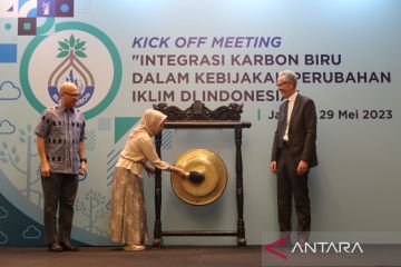 Indonesia optimalkan potensi karbon biru guna mitigasi perubahan iklim