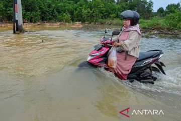 Banjir merendam Kota Baru Jambi
