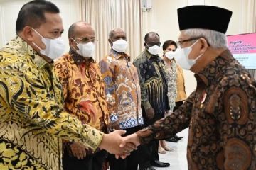 Pemprov Papua siap bersinergi BP3OKP wujudkan kesejahteraan warga