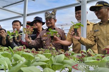 Mentan: Penas Tani upaya konsolidasi jaga ketahanan pangan nasional