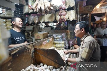 Bapanas percepat pengadaan stok bawang putih jaga dinamika harga