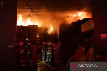 Kebakaran gudang tripleks di Jakarta