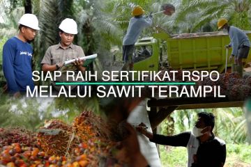 520 petani sawit siap raih sertifikat RSPO melalui Sawit Terampil