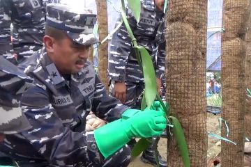 TNI AL bina masyarakat pesisir di Kendari budi daya vanili