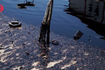 Aktivitas nelayan di Batam terganggu akibat limbah minyak hitam
