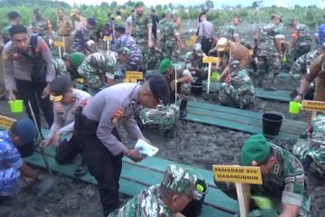 TNI-Polri tanam 1.500 bibit mangrove di Teluk Kendari