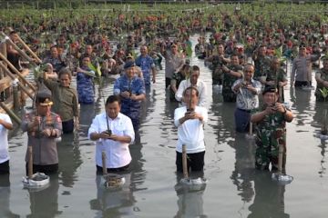 Sejuta bibit mangrove jaga keseimbangan alam dan perkuat pertahanan