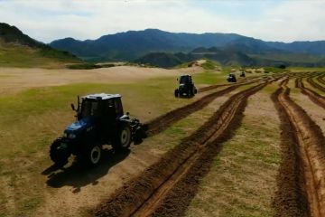 Perbaikan lingkungan melalui penghijauan padang pasir di China