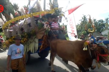 Festival Pegon, transportasi tradisional dan potensi pariwisata