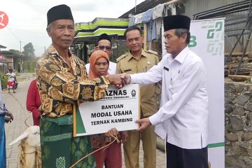 Tingkatkan ekonomi warga, Baznas Temanggung salurkan bantuan domba