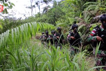 TNI-Polri bersinergi perketat pengawasan di perbatasan RI-Malaysia