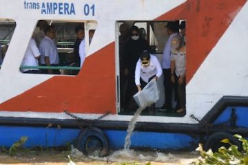 Pemkot Palembang sebar 2.000 bibit ikan patin di Sungai Musi