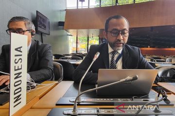 WTO bentuk panel sengketa RI-EU terkait produk baja Indonesia