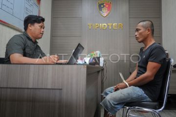 Kasus pembakaran lahan di Tebo