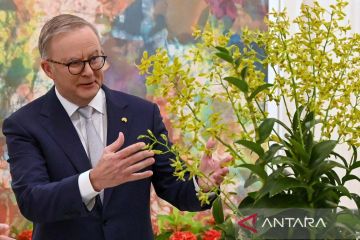 PM Australia Anthony Albanese kunjungi Singapura