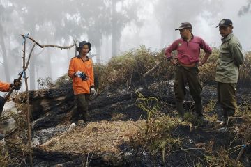 Tahura: Kebakaran Arjuno-Welirang akibat aktivitas perburuan liar